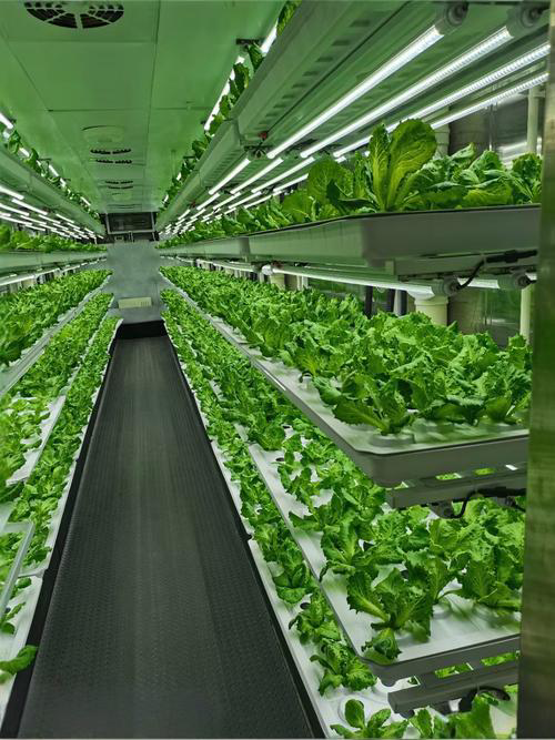 GA黄金甲(中国)最新官方网站